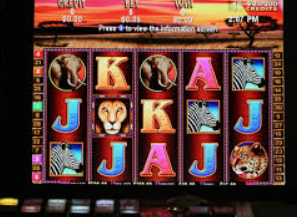 365best体育亚洲官网2024最新版